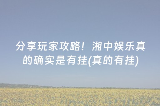 分享玩家攻略！湘中娱乐真的确实是有挂(真的有挂)