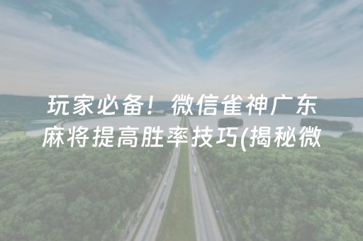 玩家必备！微信雀神广东麻将提高胜率技巧(揭秘微信里助赢神器购买)