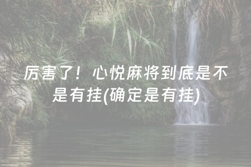 厉害了！心悦麻将到底是不是有挂(确定是有挂)