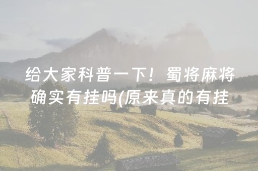 分享玩家攻略！皇豪互众辅助软件(能设置输赢吗)