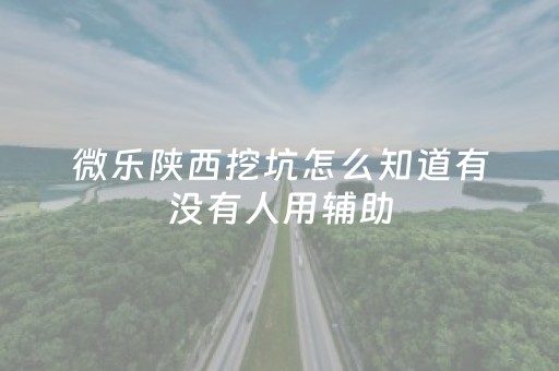 微乐陕西挖坑怎么知道有没有人用辅助（微信小程序微乐陕西挖坑辅助）