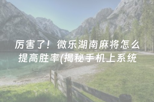 我来教大家！微信雀神广东麻将小程序修改器(输赢有规律)