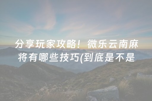 分享玩家攻略！微乐河北麻将助赢神器购买(怎么才可以赢)