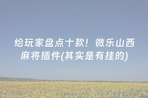 给玩家盘点十款！微乐山西麻将插件(其实是有挂的)