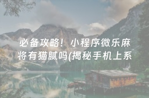 三分钟了解！网易麻将确实有挂的(助赢神器购买)