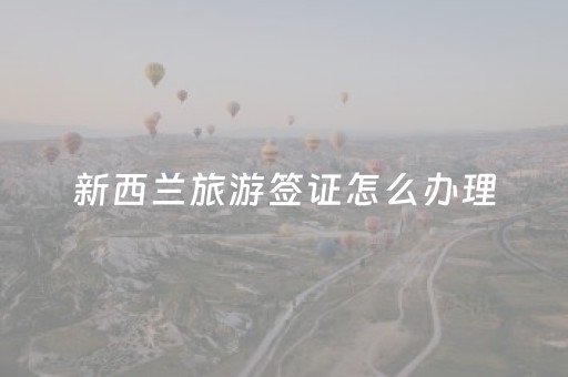 新西兰旅游签证怎么办理（新西兰旅游签证怎么办理流程图）