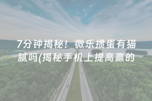 终于懂了！山东微乐麻将插件购买(其实是有挂确实有挂)