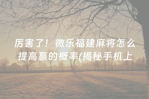 玩家必备攻略！微信微乐山西麻将怎么赢(其实真的有挂)