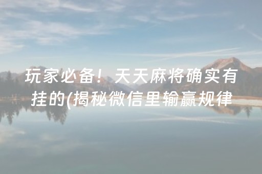 玩家必看攻略“微信小程序微乐麻将到底有挂吗”!(其实确实有挂)-知乎