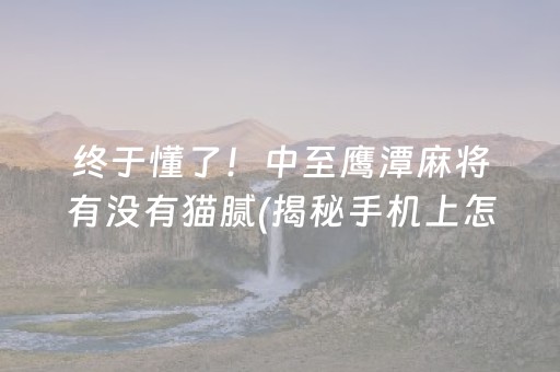 终于懂了！中至鹰潭麻将有没有猫腻(揭秘手机上怎么容易赢)