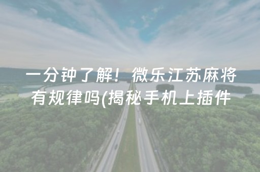 给玩家盘点十款！小程序微乐四川麻将有没有技巧(赢的技巧系统规律)