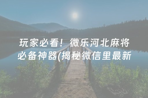 玩家必看！微乐河北麻将必备神器(揭秘微信里最新神器下载)