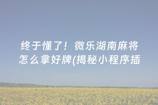 终于懂了！微乐湖南麻将怎么拿好牌(揭秘小程序插件购买)