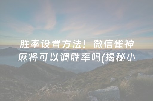 胜率设置方法！微信雀神麻将可以调胜率吗(揭秘小程序确实有猫腻)