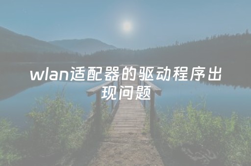 wlan适配器的驱动程序出现问题（wlan适配器的驱动程序出现问题怎么修复）