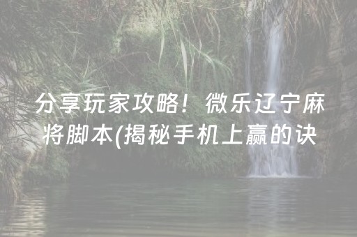 分享玩家攻略！微乐辽宁麻将脚本(揭秘手机上赢的诀窍)