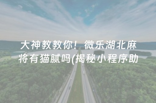 大神教教你！微乐湖北麻将有猫腻吗(揭秘小程序助赢软件)