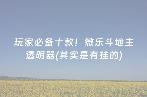 玩家必备十款！微乐斗地主透明器(其实是有挂的)