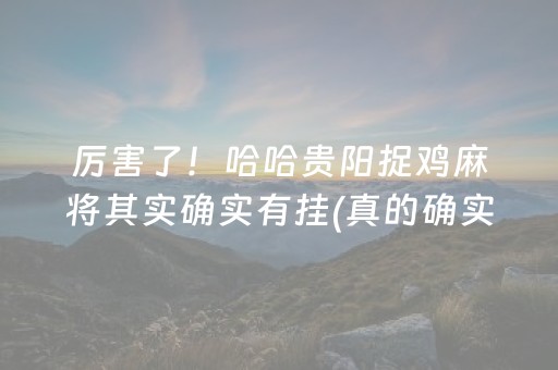 厉害了！哈哈贵阳捉鸡麻将其实确实有挂(真的确实是有挂)