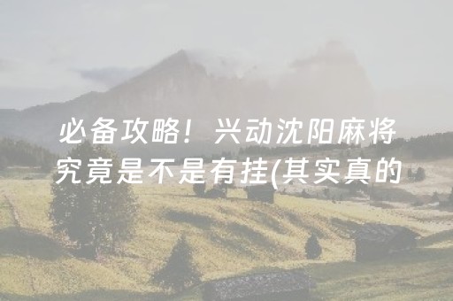 必备攻略！兴动沈阳麻将究竟是不是有挂(其实真的有挂)