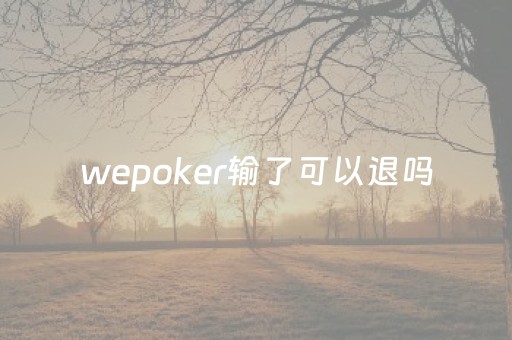 wepoker输了可以退吗（wepoker一直输）