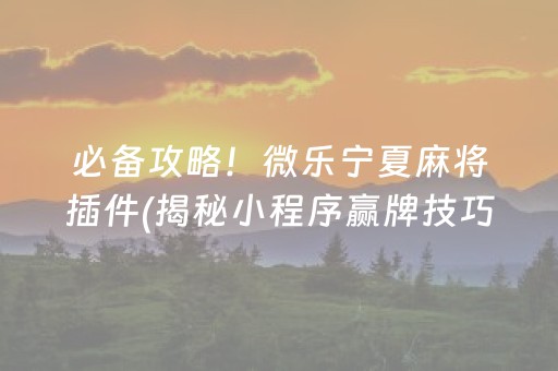 必备攻略！微乐宁夏麻将插件(揭秘小程序赢牌技巧)