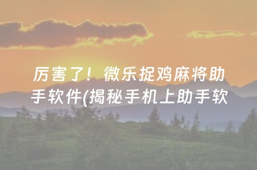 厉害了！微乐捉鸡麻将助手软件(揭秘手机上助手软件)