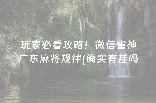 玩家必看攻略！微信雀神广东麻将规律(确实有挂吗)