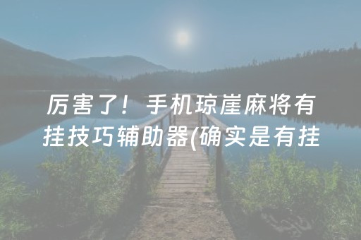 厉害了！手机琼崖麻将有挂技巧辅助器(确实是有挂)