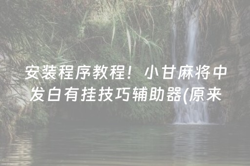 安装程序教程！小甘麻将中发白有挂技巧辅助器(原来真的有挂)