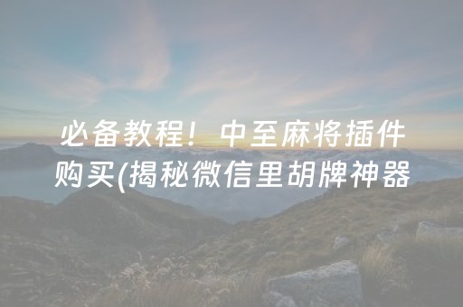 必备教程！中至麻将插件购买(揭秘微信里胡牌神器)