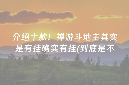 介绍十款！禅游斗地主其实是有挂确实有挂(到底是不是有挂)