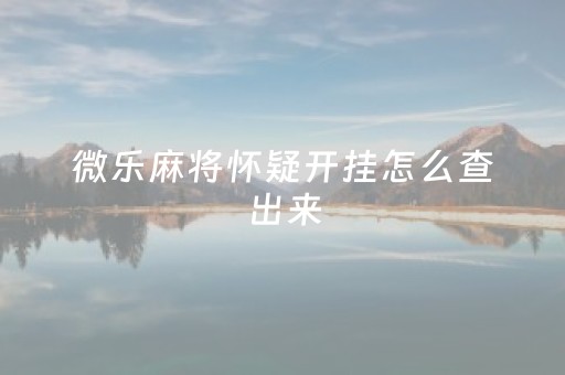 微乐麻将怀疑开挂怎么查出来（微乐麻将怀疑有人开挂怎么办）