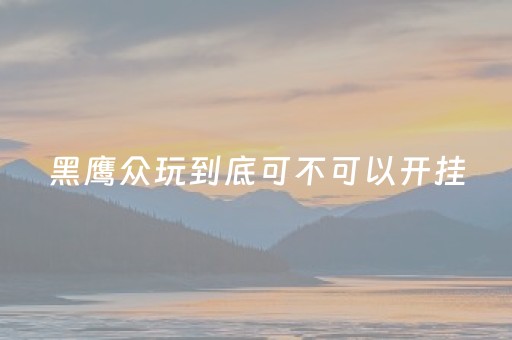 黑鹰众玩到底可不可以开挂（黑鹰众玩大厅能不能开挂）