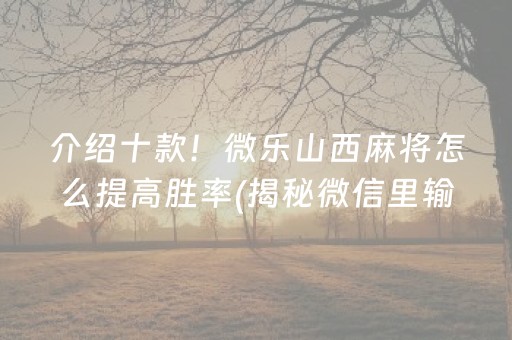 介绍十款！微乐山西麻将怎么提高胜率(揭秘微信里输赢规律)