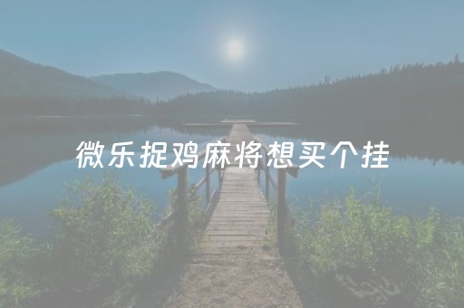 微乐捉鸡麻将想买个挂（微乐捉鸡麻将挂安装）