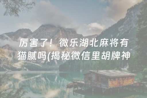 厉害了！微乐湖北麻将有猫腻吗(揭秘微信里胡牌神器)