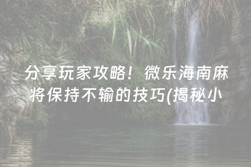 分享玩家攻略！微乐海南麻将保持不输的技巧(揭秘小程序最新神器下载)