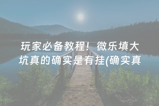 玩家必备教程！微乐填大坑真的确实是有挂(确实真的有挂)