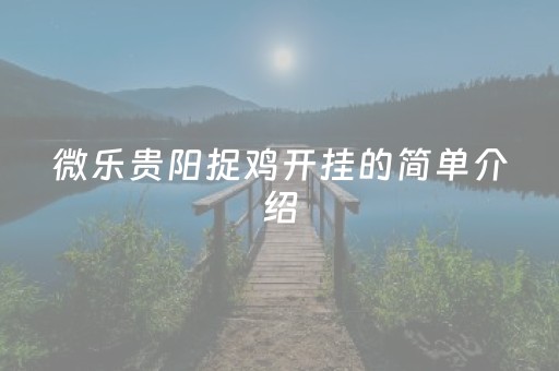 微乐贵阳捉鸡开挂的简单介绍