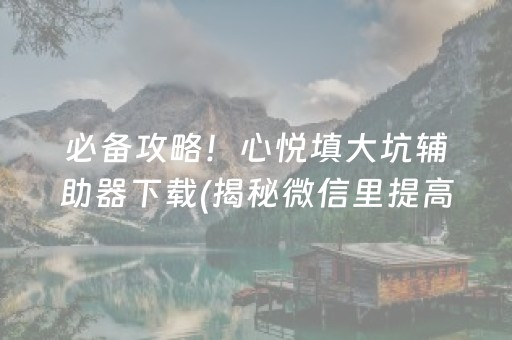 必备攻略！心悦填大坑辅助器下载(揭秘微信里提高胜率)