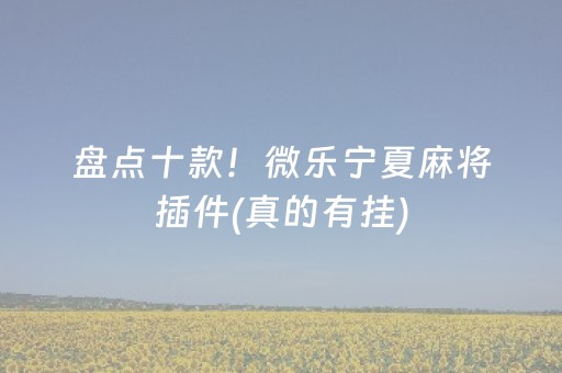 盘点十款！微乐宁夏麻将插件(真的有挂)