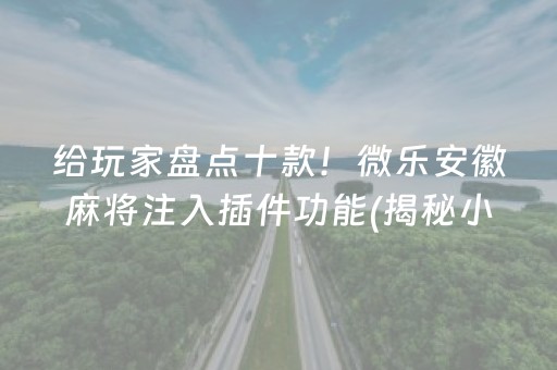 给玩家盘点十款！微乐安徽麻将注入插件功能(揭秘小程序助赢软件)