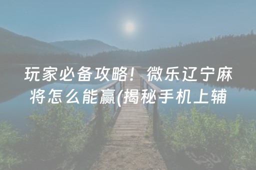 玩家必备攻略！微乐辽宁麻将怎么能赢(揭秘手机上辅牌器)