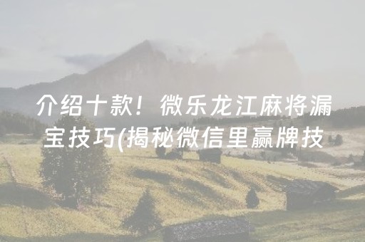 介绍十款！微乐龙江麻将漏宝技巧(揭秘微信里赢牌技巧)