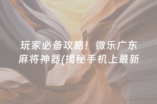 玩家必备攻略！微乐广东麻将神器(揭秘手机上最新神器下载)