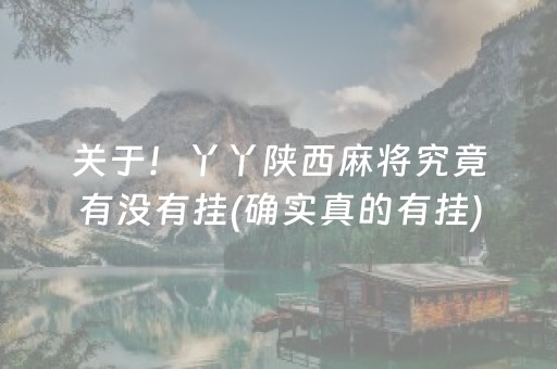 关于！丫丫陕西麻将究竟有没有挂(确实真的有挂)