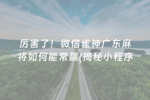 厉害了！微信雀神广东麻将如何能常赢(揭秘小程序胜率到哪调)