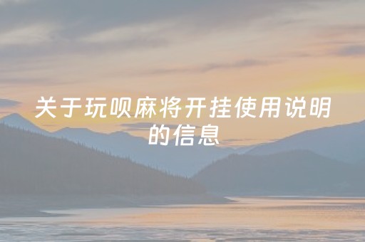 关于玩呗麻将开挂使用说明的信息