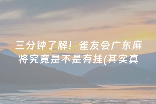 三分钟了解！雀友会广东麻将究竟是不是有挂(其实真的有挂)